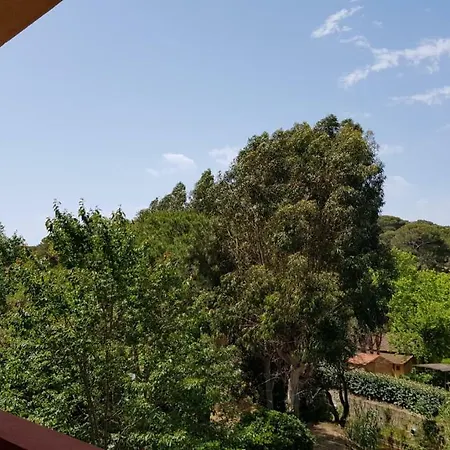 Le Carpediem * Bormes-les-Mimosas